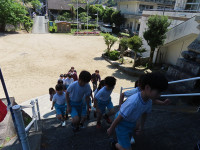 s-IMG_3524