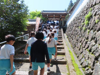 s-IMG_3525