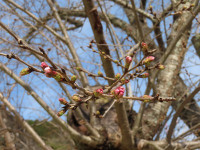 s-IMG_0407
