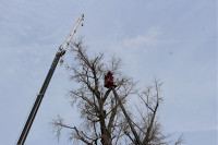 s-IMG_3845