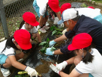 s-DSCF0278