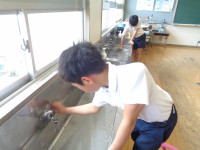 DSC06981