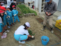 s-IMG_3538
