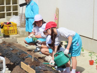s-IMG_3551