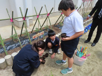 s-IMG_3637