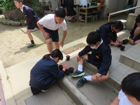 s-IMG_3636