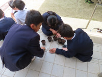 s-IMG_3635