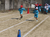 s-IMG_3660