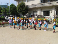 s-IMG_3712