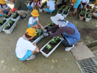 s-IMG_3833