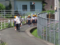 s-IMG_4435