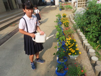 s-IMG_4655