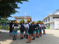 s-IMG_4733