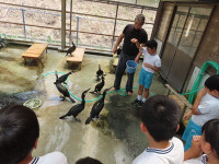 s-IMG_4762