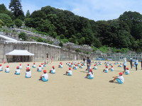 s-IMG_5349