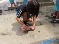 s-IMG_5363