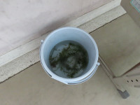 s-IMG_5426