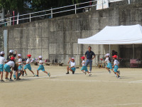s-IMG_5549