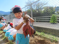 s-IMG_6310