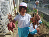 s-IMG_6315